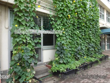 世田谷区立深沢中学校